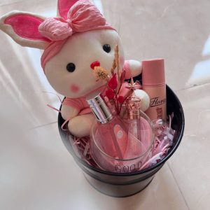 هدیه لوکس دخترانه همراه با عروسک خرگوش | ادکلن | ماگ | برق لب | مام بدن در باکس سطل شیک